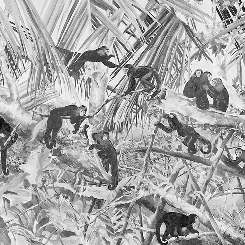 Brass Monkey Wallpapers Arcedior